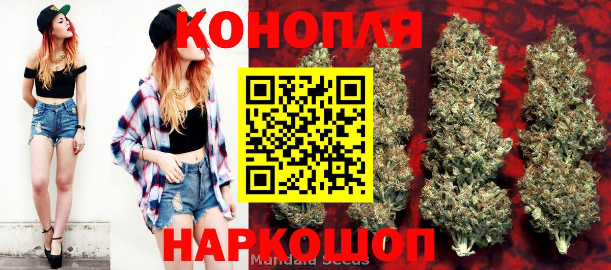 Бошки марихуана марихуана Новотроицк